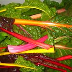 Rainbow chard