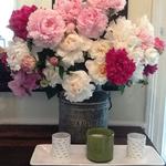 Kelly's Peonies